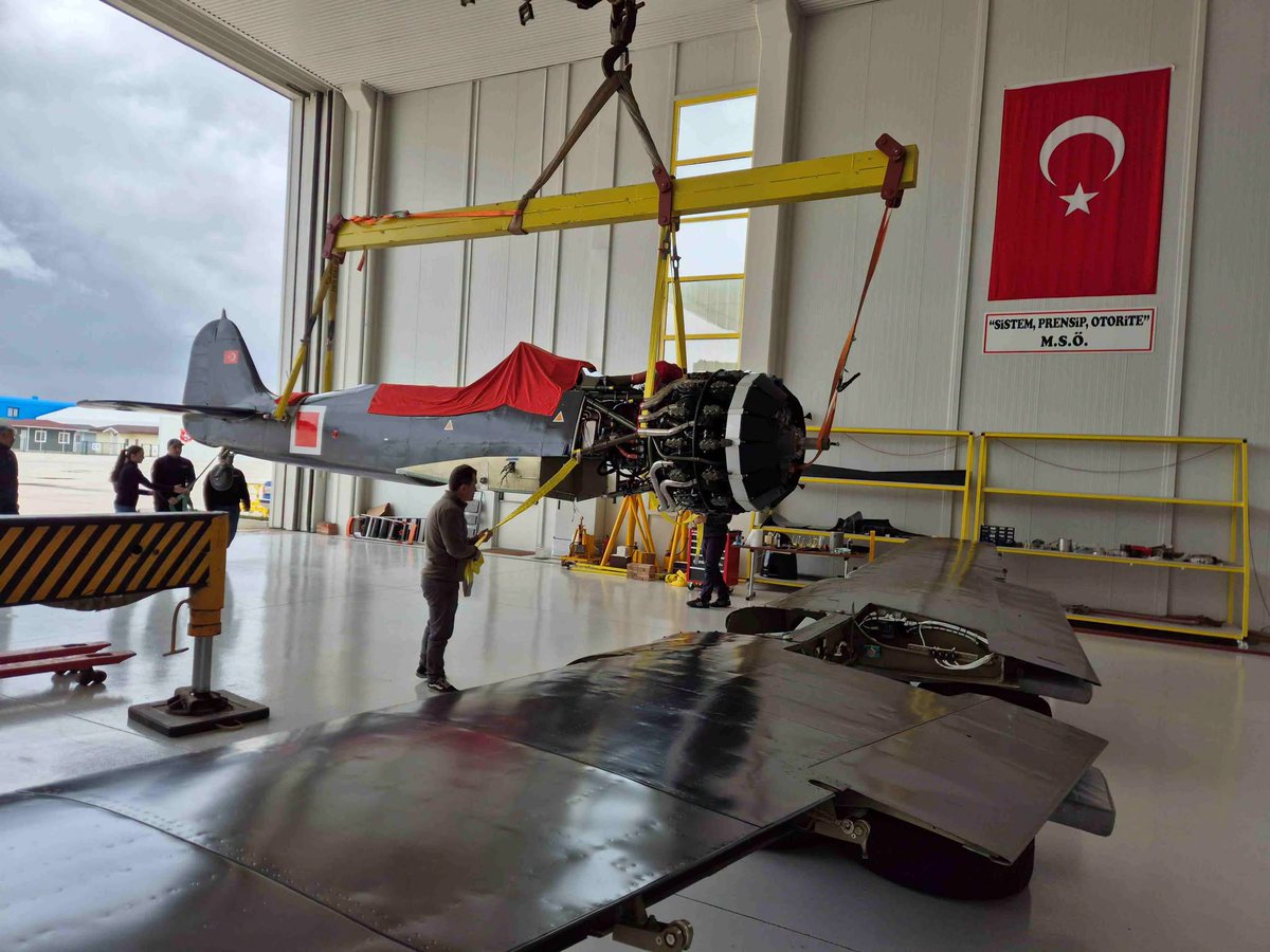 tolgaozbekcom tweet media
