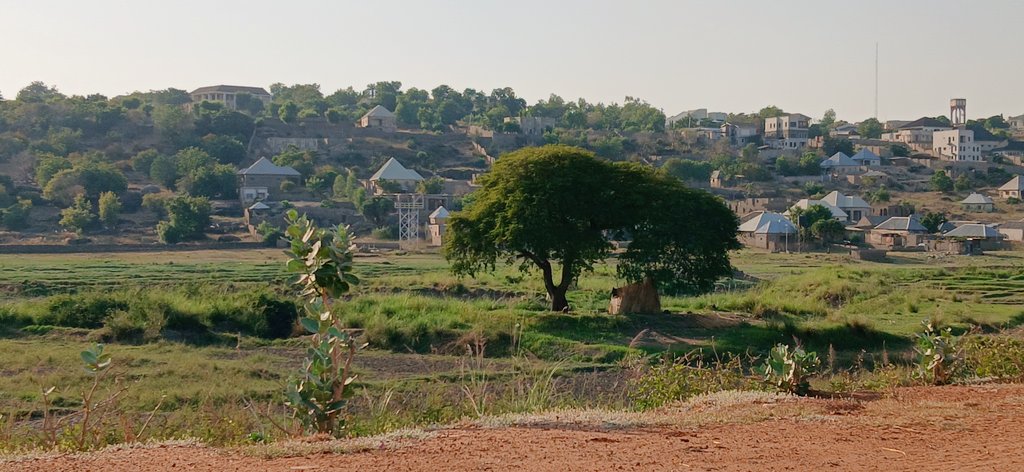 IM_Aliyu tweet media