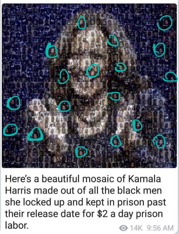 Manic the Hedgehog tweet media