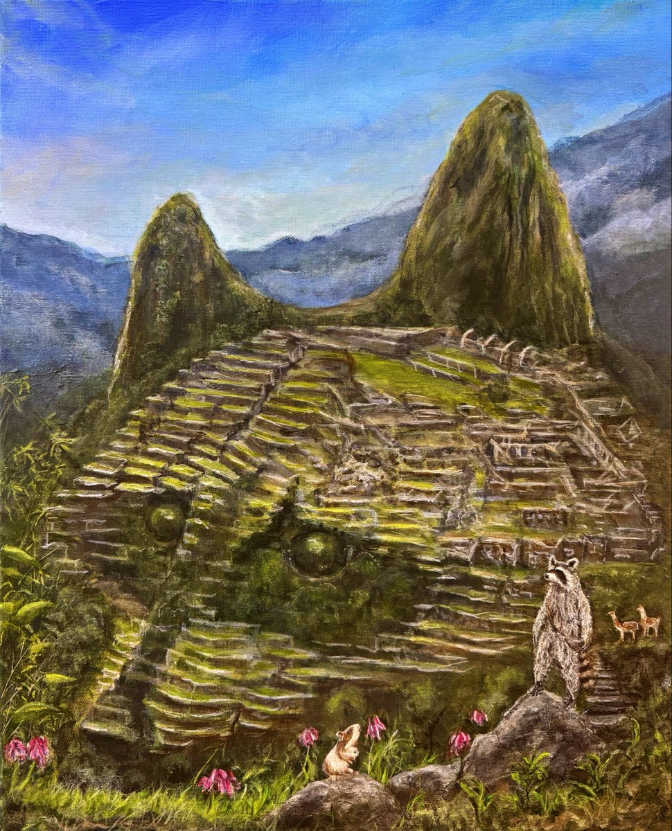 Travis Chapman tweet media