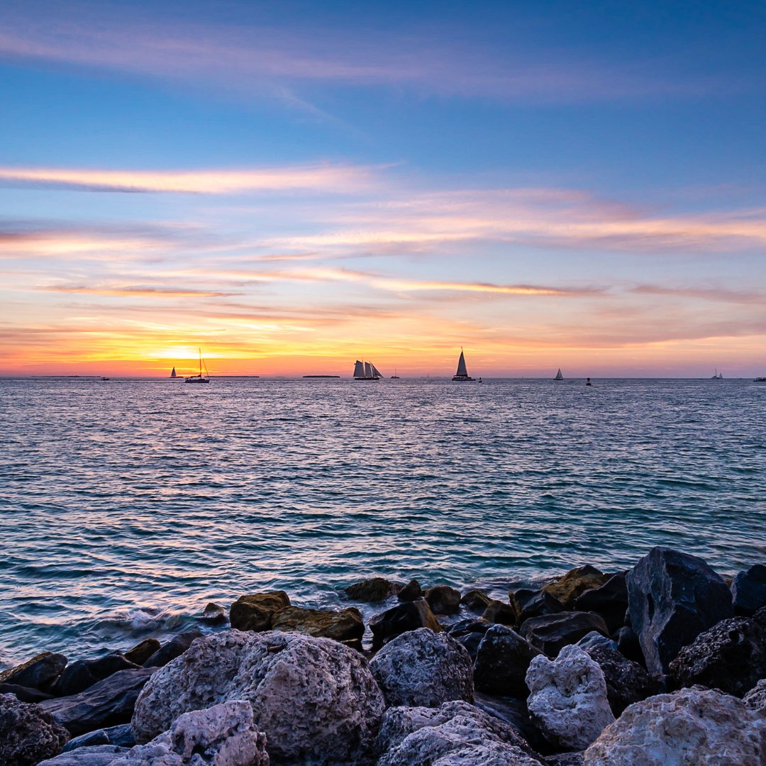 BlueMarlinMotel tweet media