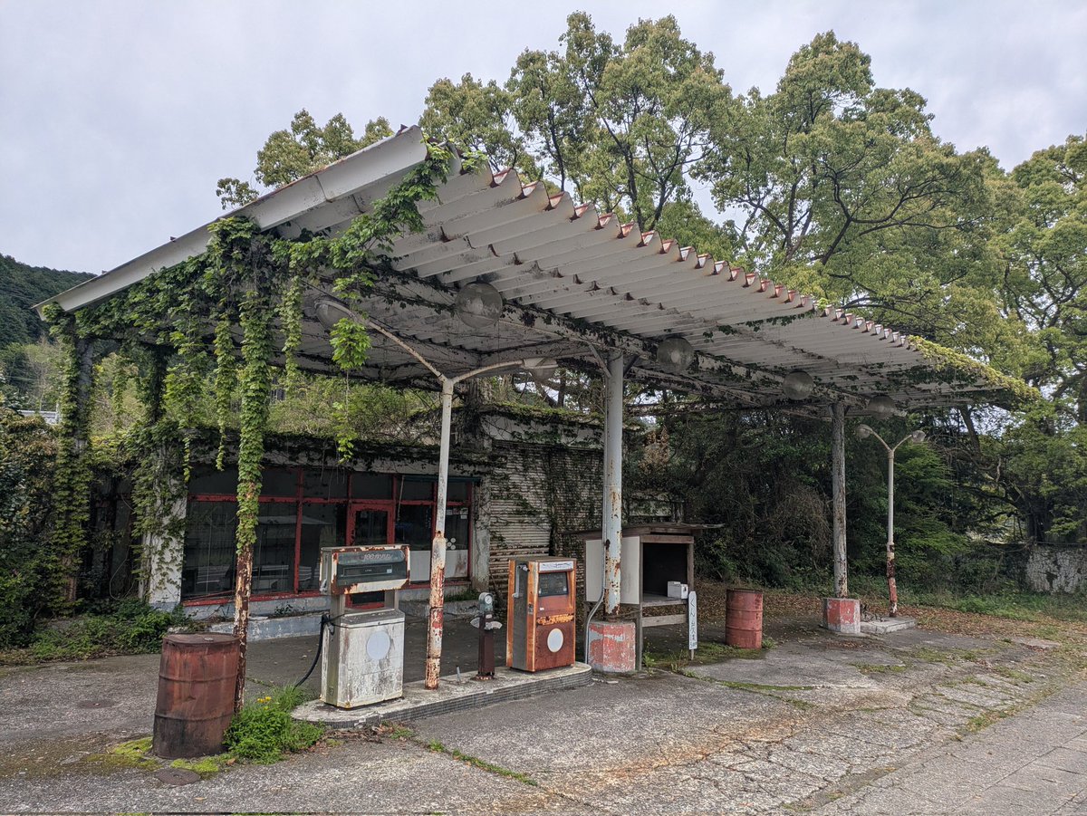 西日本かかし研究所/カカシ番長 tweet media