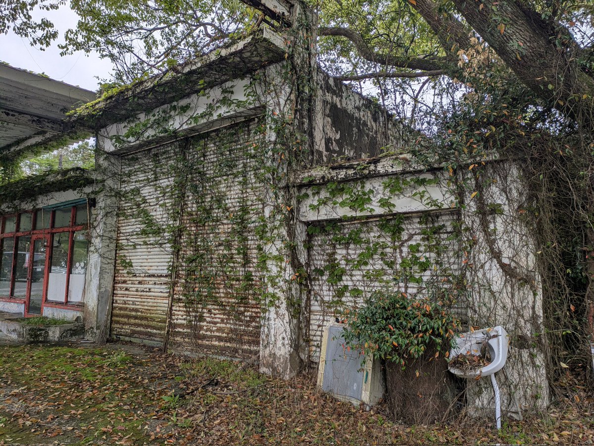 西日本かかし研究所/カカシ番長 tweet media