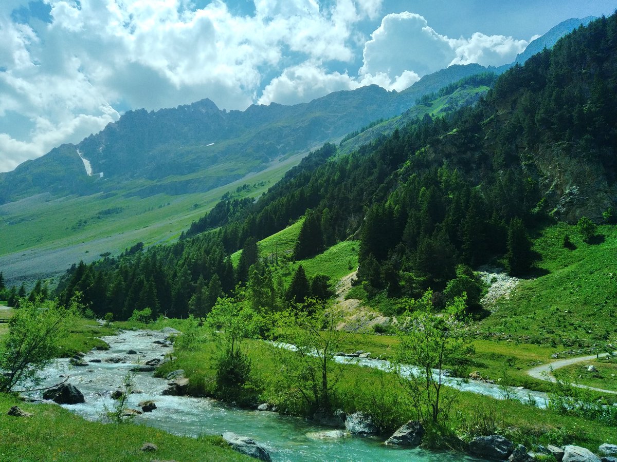 Jan sleeping eyes of the dumps ! tweet media