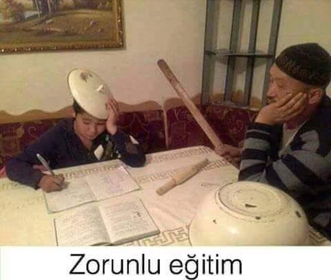 Sosyal Öğretmen tweet media