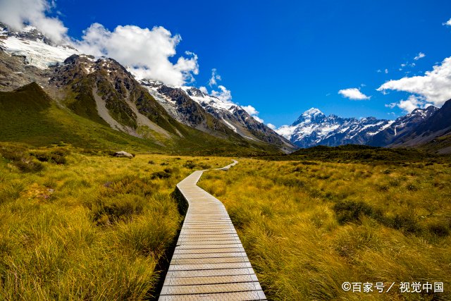 Ashok Sachdeva tweet media