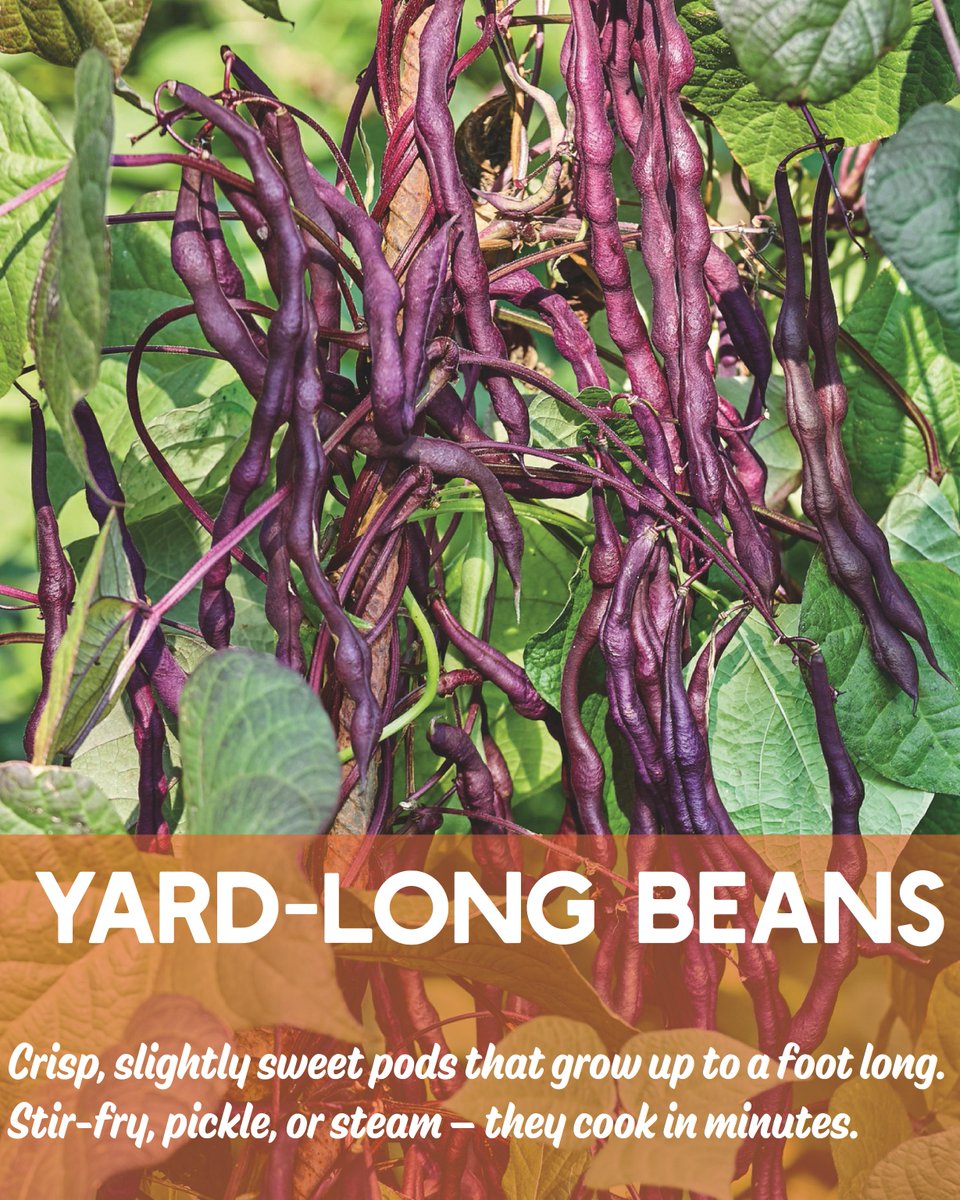 True Leaf Market tweet media