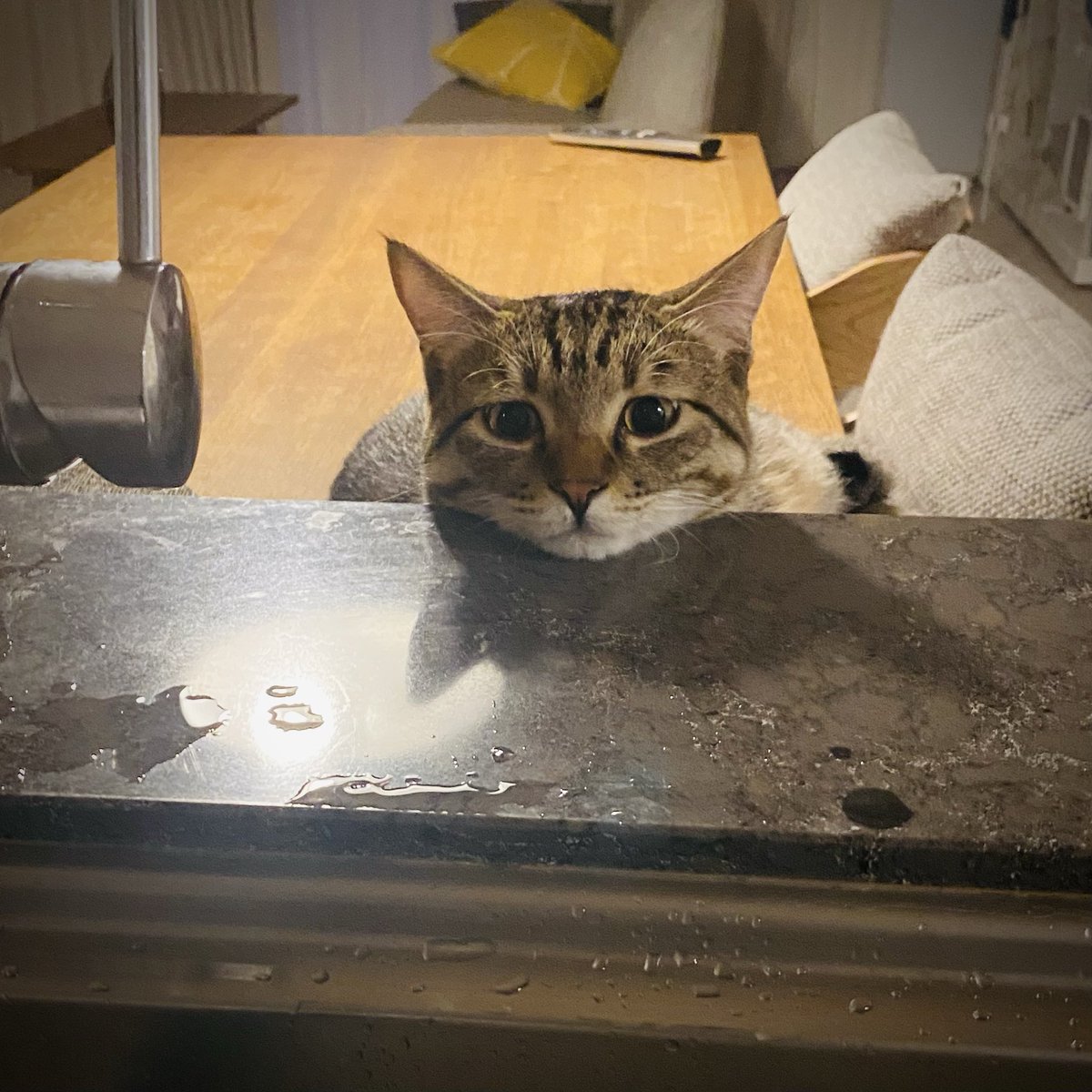 aco@脳卒中右片麻痺 tweet media