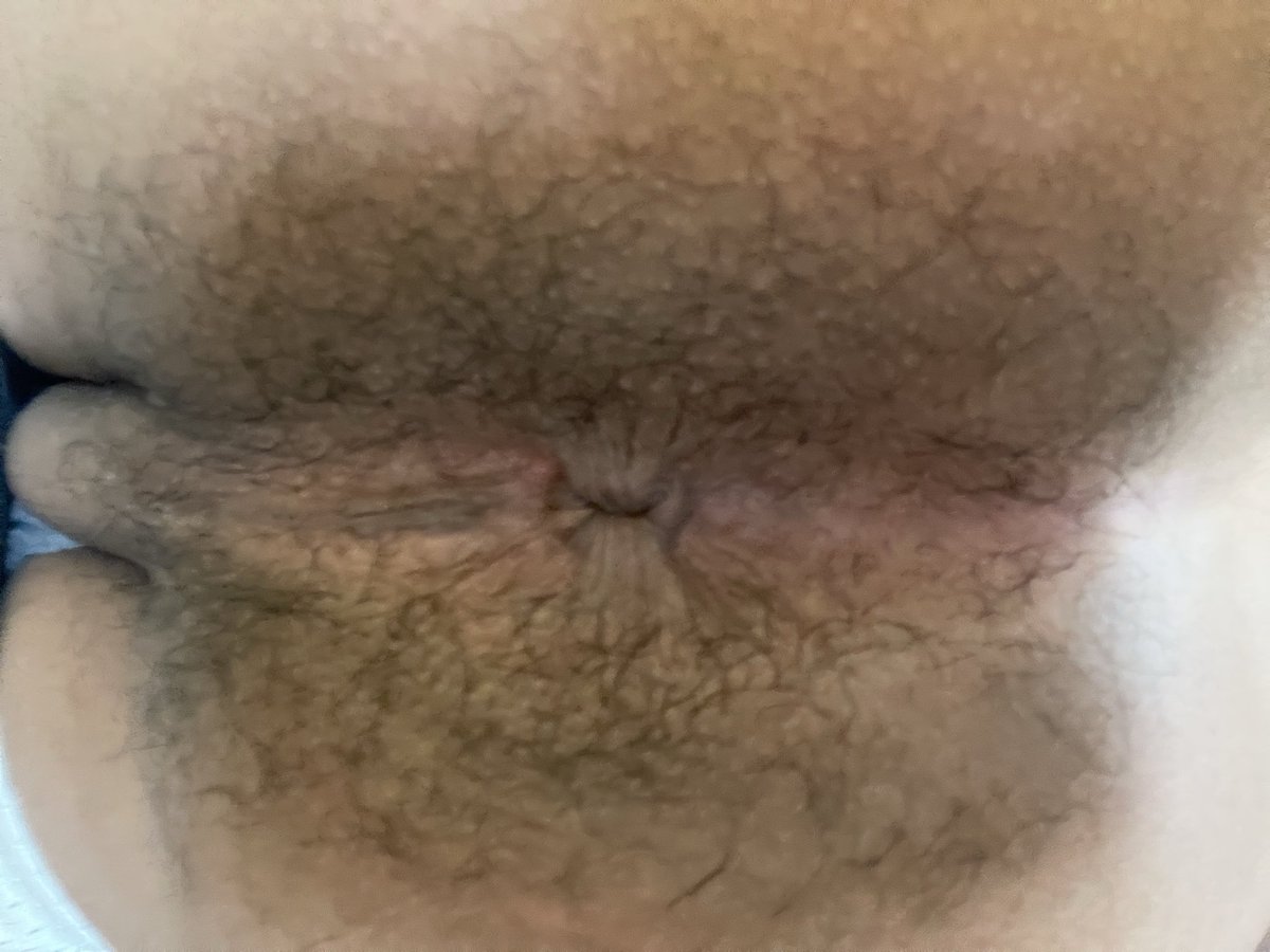 Noxlan 🐗🔞 tweet media