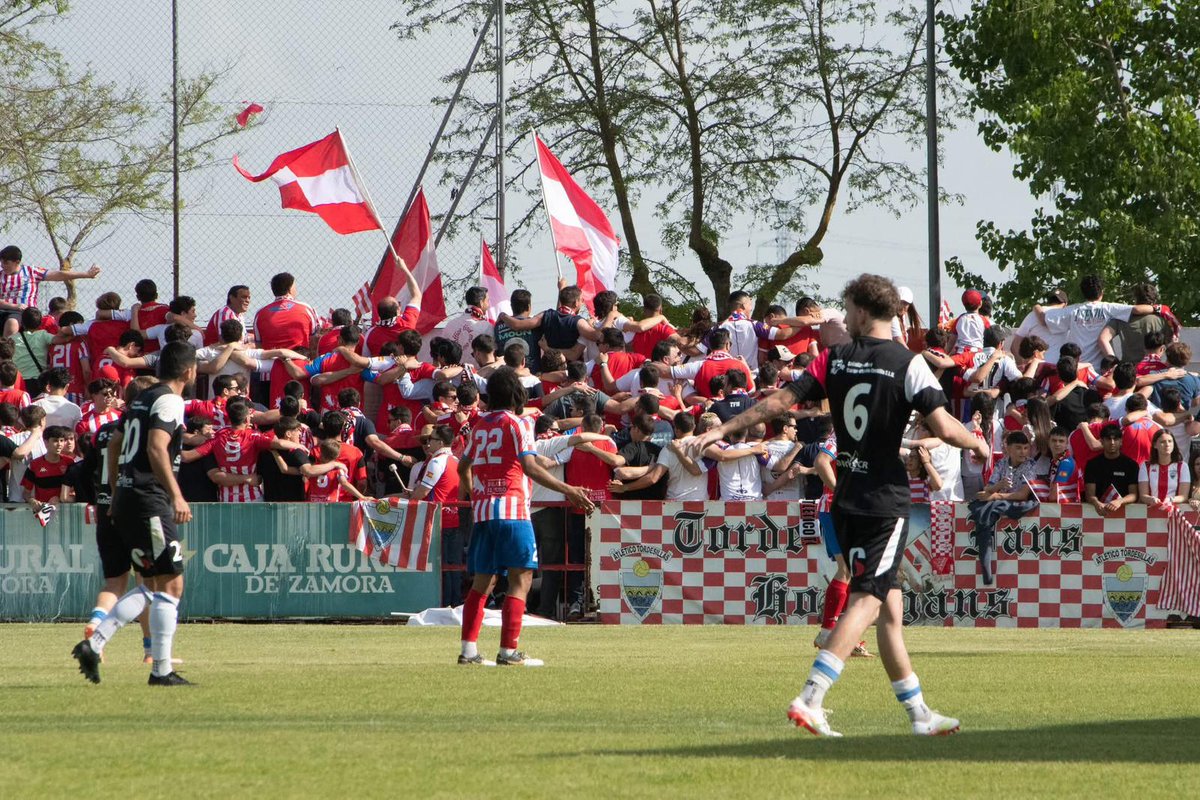 Tordefans hooligans tweet media