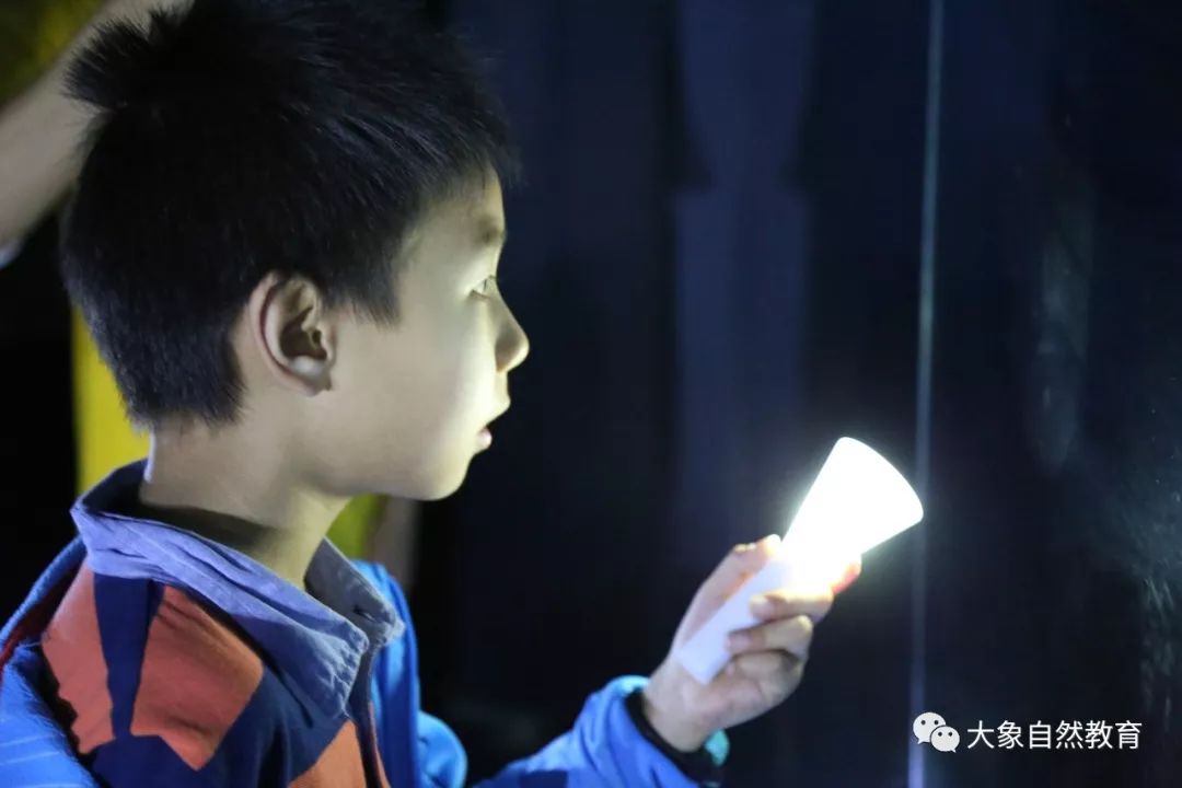 coulomb julie tweet media