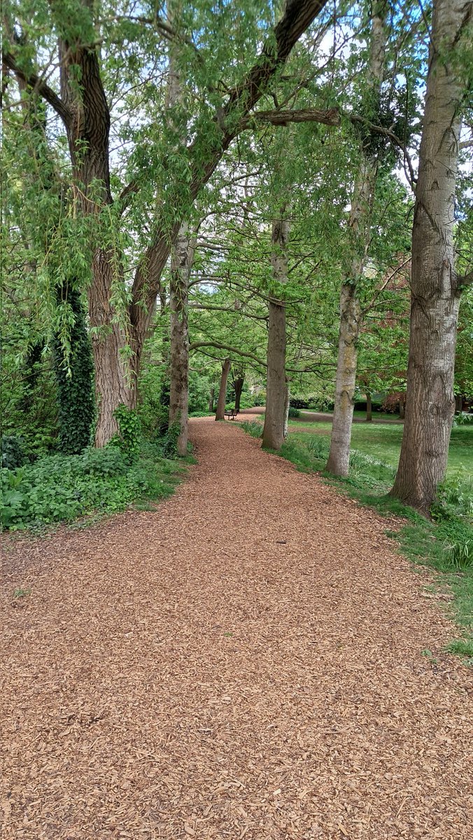 CB_cycles's tweet image. Took a little wander around Vivary Park in Taunton this afternoon. It's looking rather lovely now spring has sprung #springtime #Taunton #townparks #greenspaces