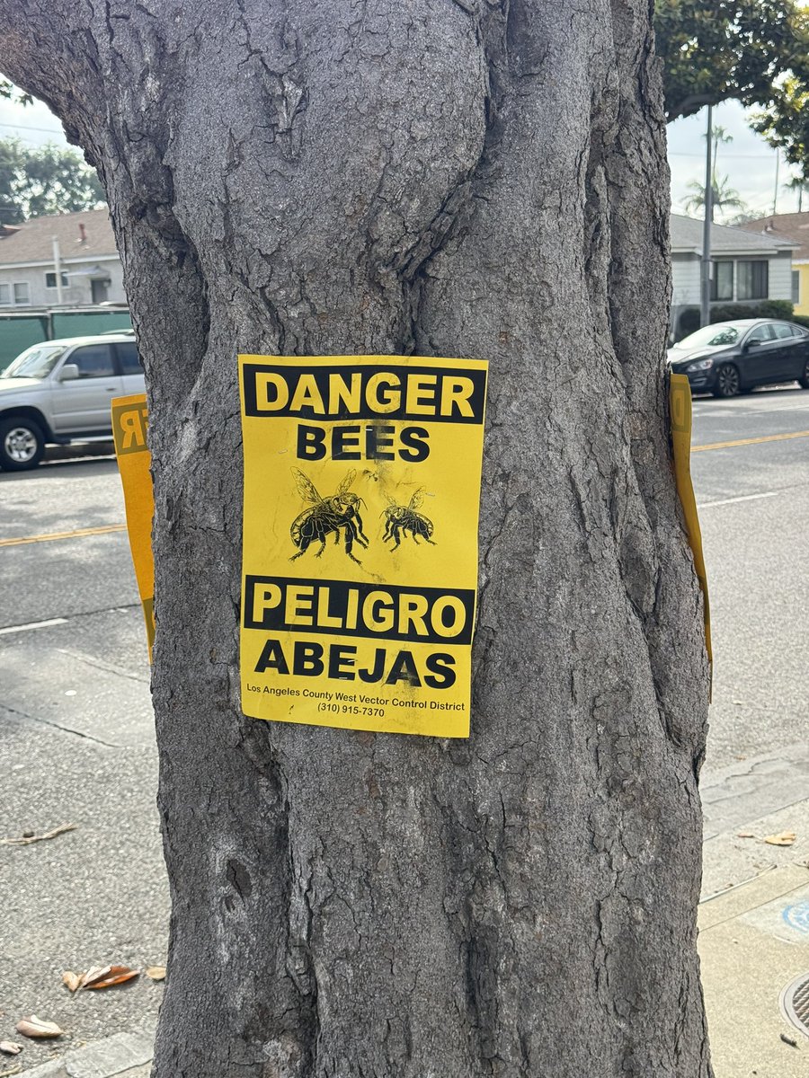 Viral marketing for The Beekeeper 2? When does it come out again?