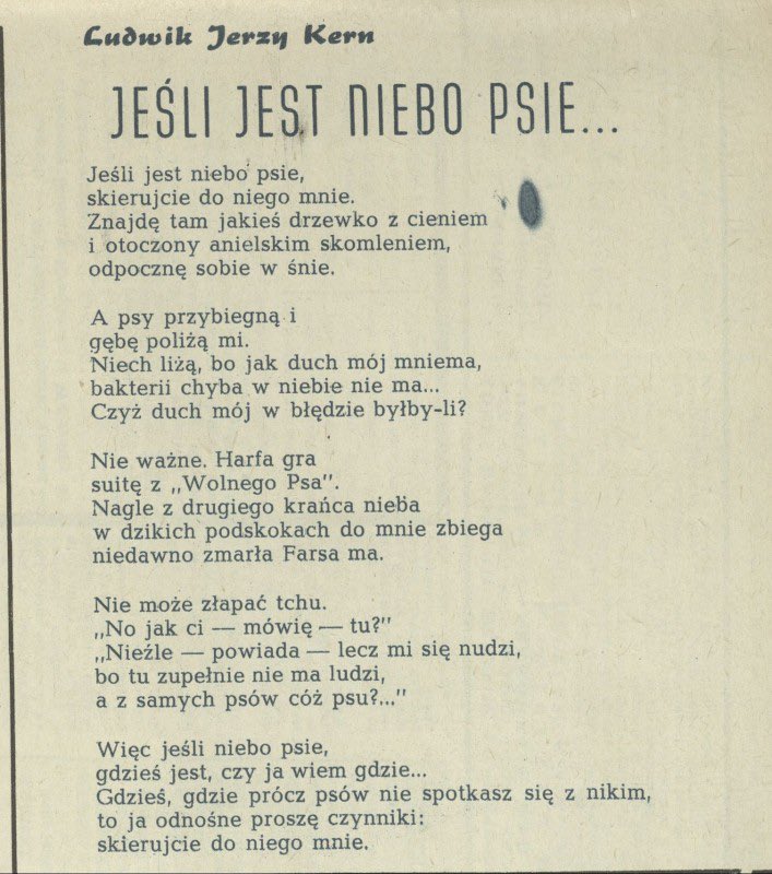 MajaNabzdyjak's tweet photo. „(…) Nie może złapać tchu.
"No, jak ci - mówię - tu?"
"Nieźle - powiada - lecz mi się nudzi,
Bo tu zupełnie nie ma ludzi,
A z samych psów cóż psu?..."
Więc jeśli niebo psie
Gdzieś jest,
czy ja wiem gdzie…? (…)”
/Ludwik Jerzy Kern (fragm.)
#Reksio 🖤 https://t.co/GbJ5iFh98m