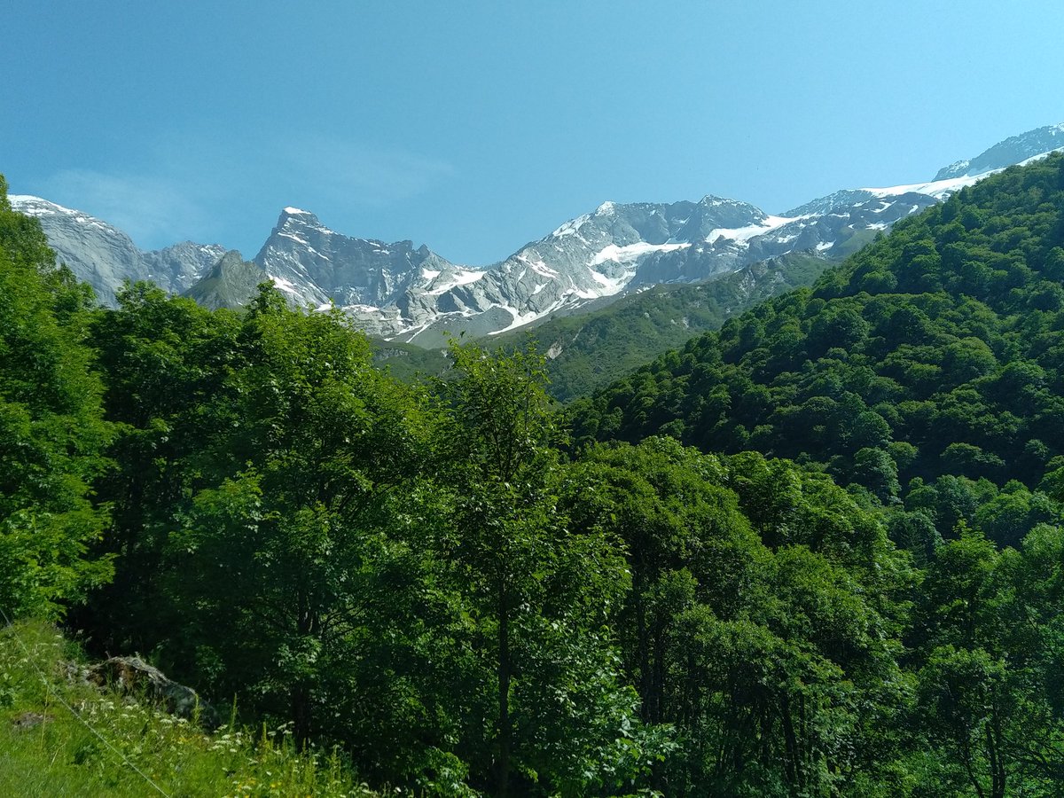 Jan sleeping eyes of the dumps ! tweet media