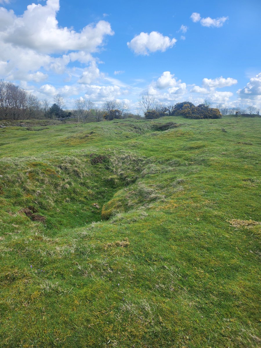 Whitedruid - A Sumorsǣte Perspective 🧙‍♂️ tweet media