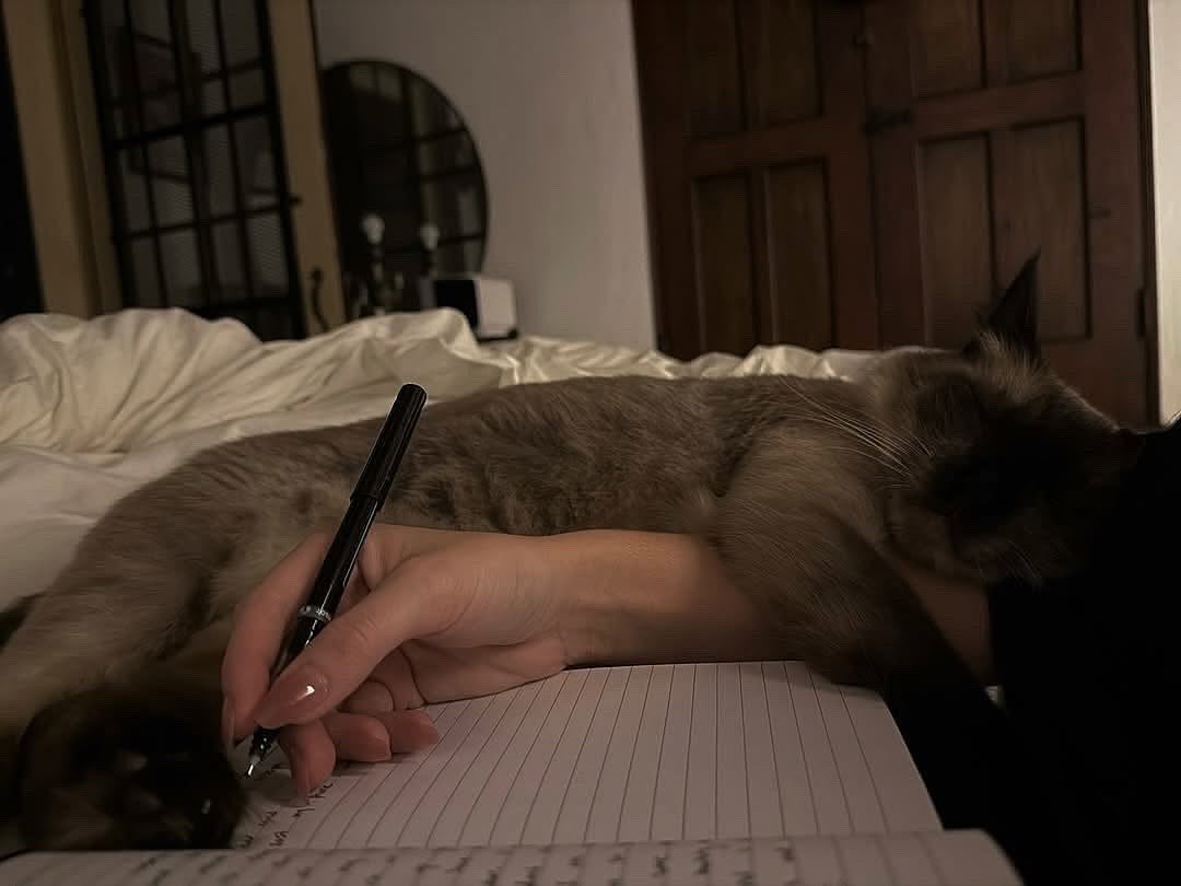 Beauty ✨ tweet media