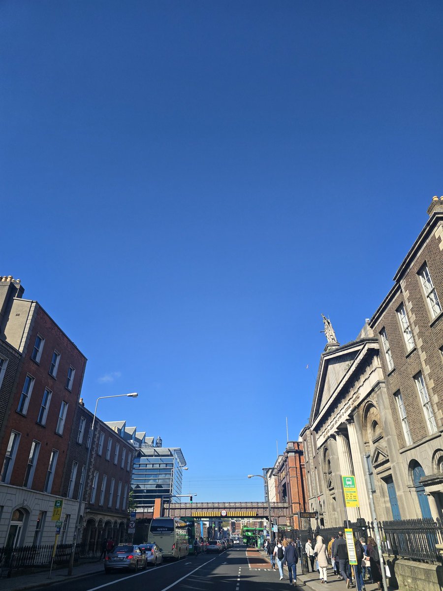 Carolina tweet media