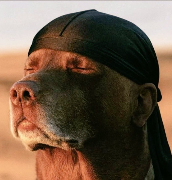 GS TrapHustla tweet media