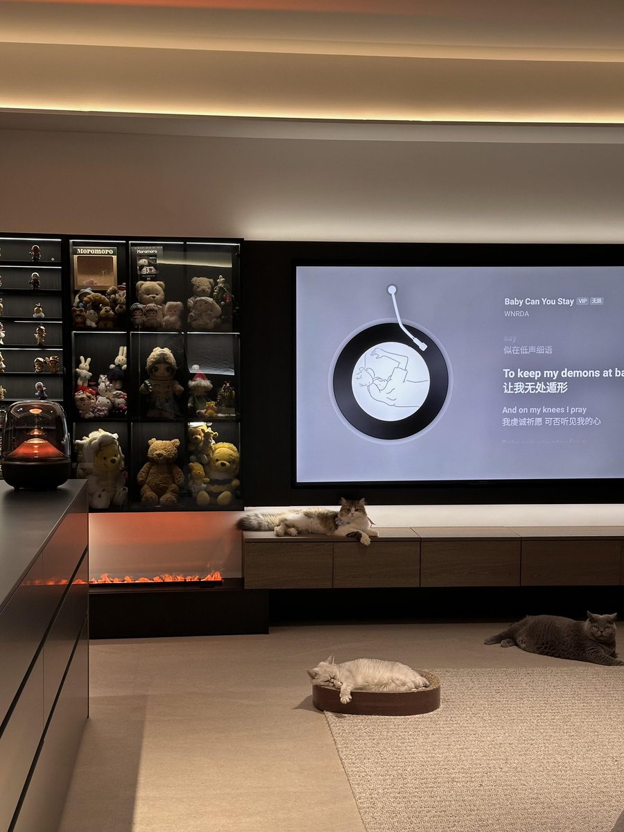 🐑🐑 tweet media