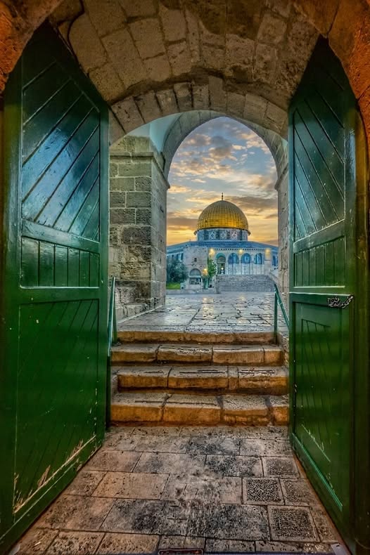 خذوا قلبي ليرتاحَ في رِحابِ المسرى، ولتكتحلَ عينايَ برؤيةِ القبةِ الذهبية. الشوقُ للقدسِ وجعٌ جميل، وصلاةٌ في محرابِها هي المبتغى. ❤️
اللهمَّ لا تحرمنا وكلَّ مشتاقٍ من شدِّ الرحالِ إليها. 🤲
#المسجد_الأقصى
