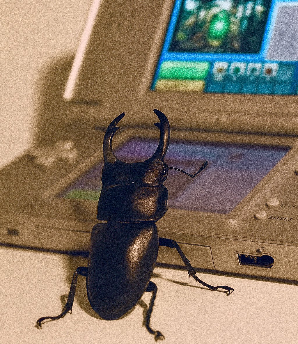 𝑟𝑢𝑏 tweet media