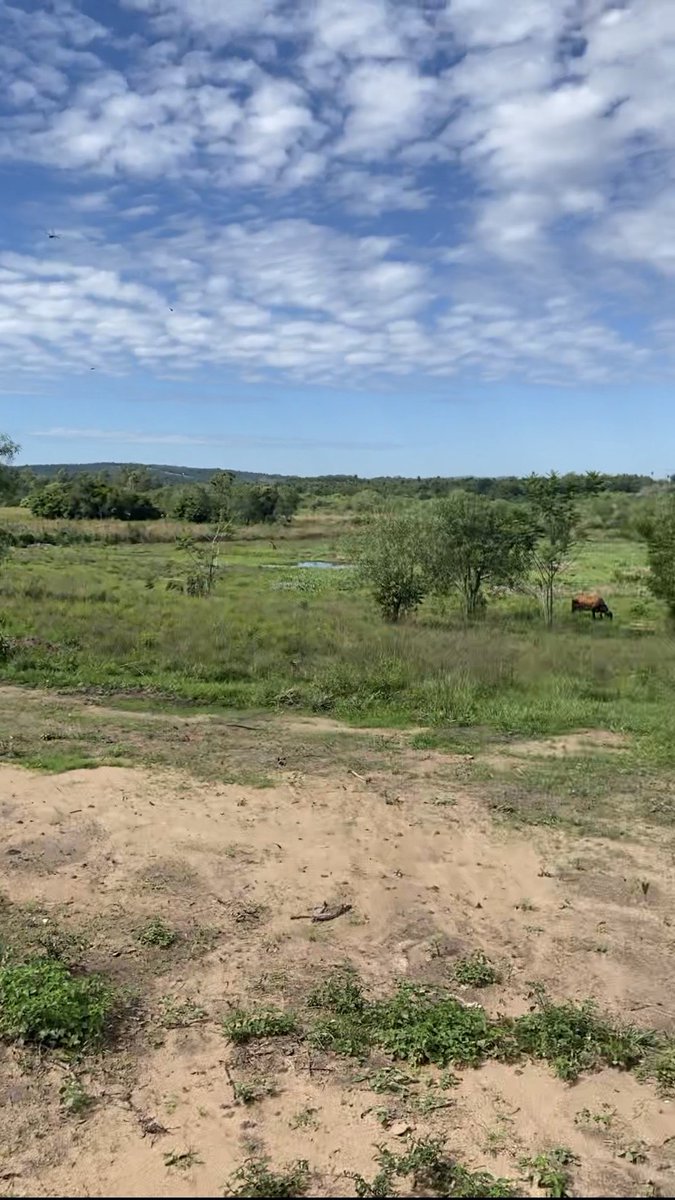 El esfuerzo por comprarse un terrenito en el interior de tu país, recomiendo no saltárselo.