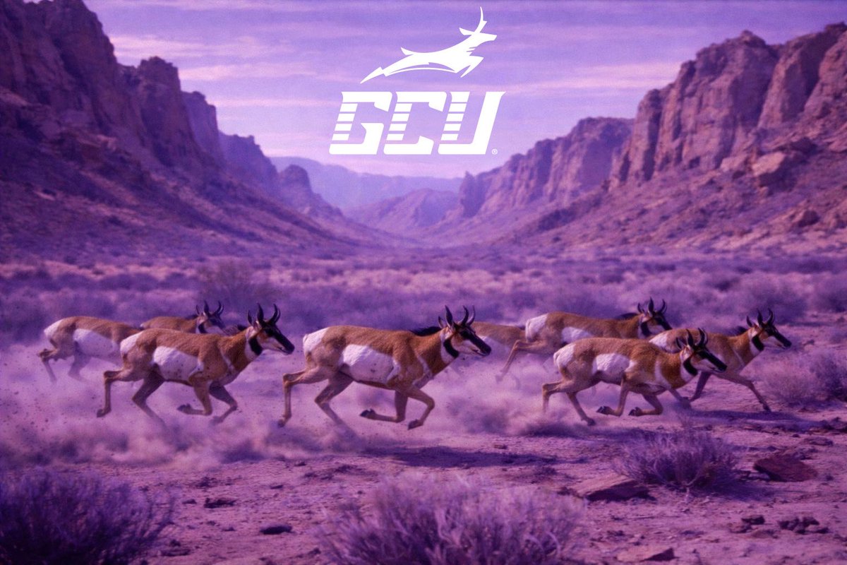 Winston Gandy tweet media