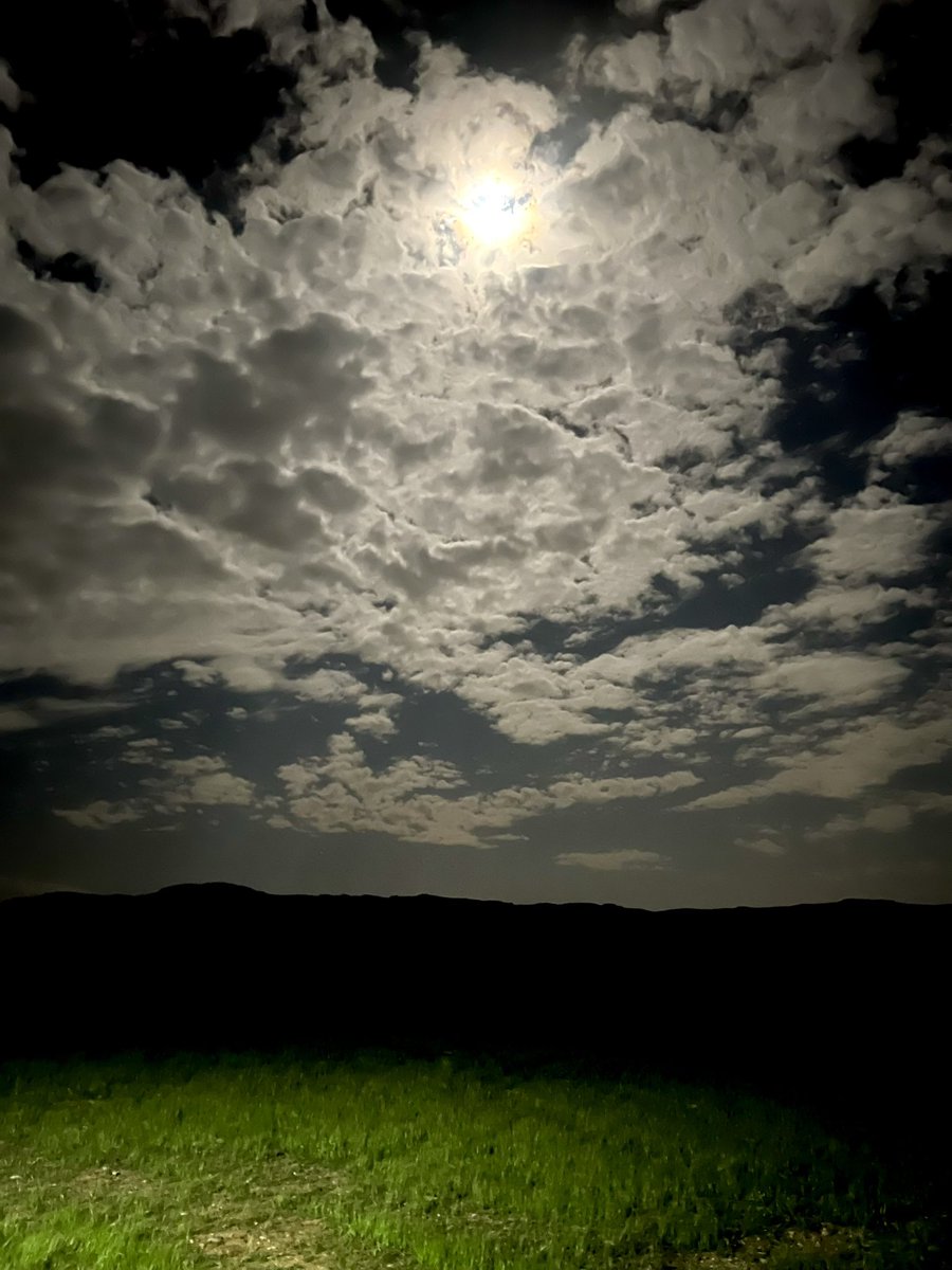 مریم tweet media