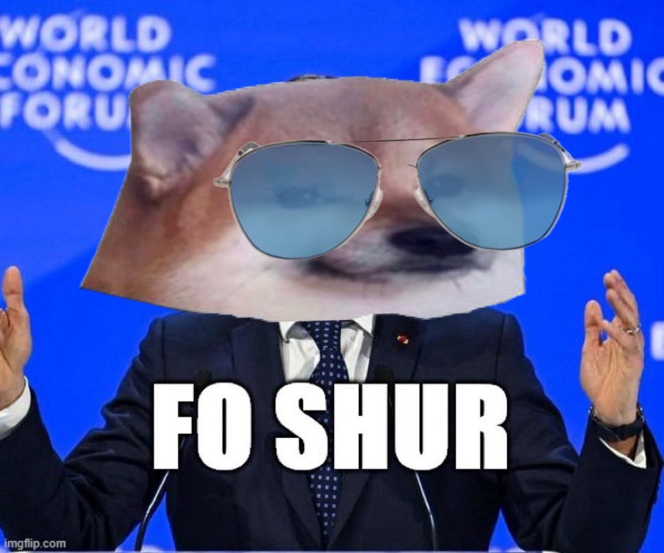 Great Duchess from Antarctica tweet media