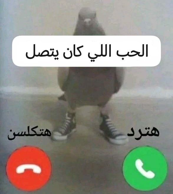 Omar Saeid tweet media