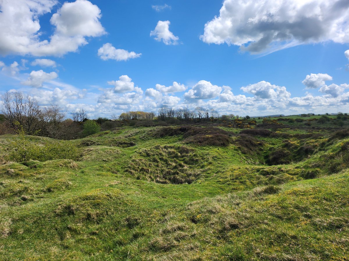 Whitedruid - A Sumorsǣte Perspective 🧙‍♂️ tweet media