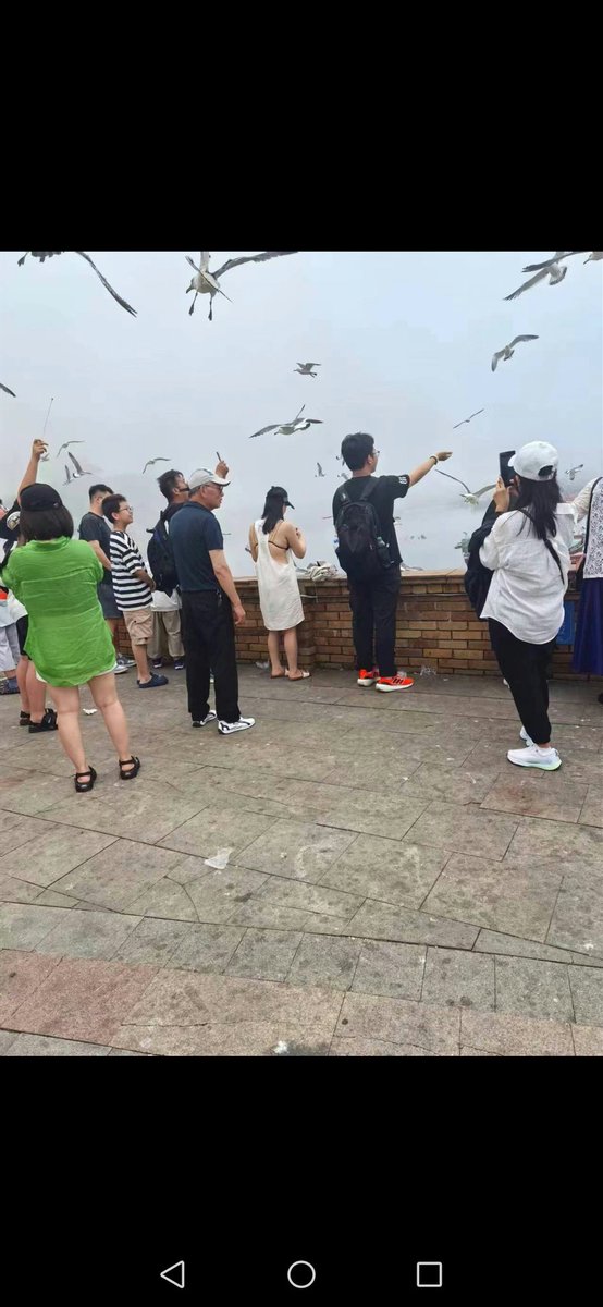 夫妻绿 tweet media