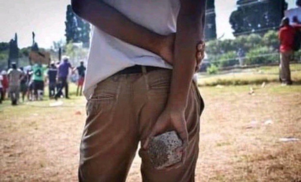 𝗦𝗮𝗺 𝗫 tweet media