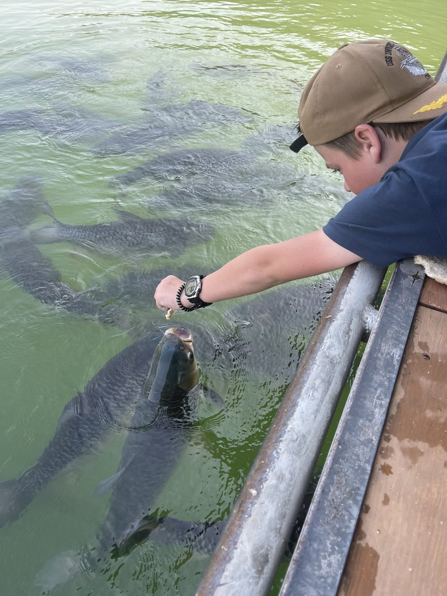 Jacob_The_Pilot's tweet image. Day Three in the jungle. Finally back at base camp to admire the view, get some last minute paddle boarding in and feed the local fish before heading home. 
Thank you beautiful Thailand for your kindness, hospitality and amazing memories❤️
#MakingMemories #TravellingThe 🌍