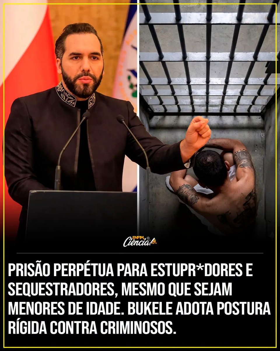 Senso Crítico ⚡ tweet media