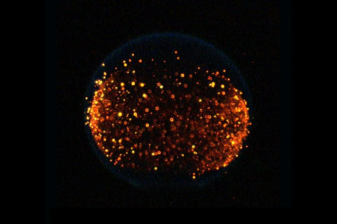 Tendencias tweet media