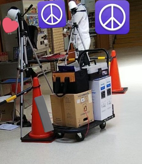 てててのサブ垢(亜梨沙)🦍 tweet media