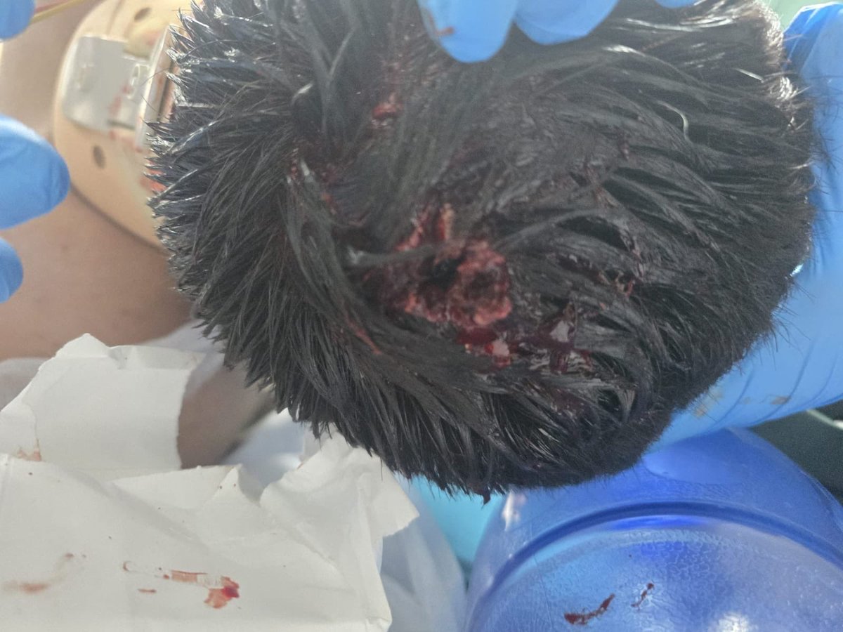 mohammad hureini tweet media