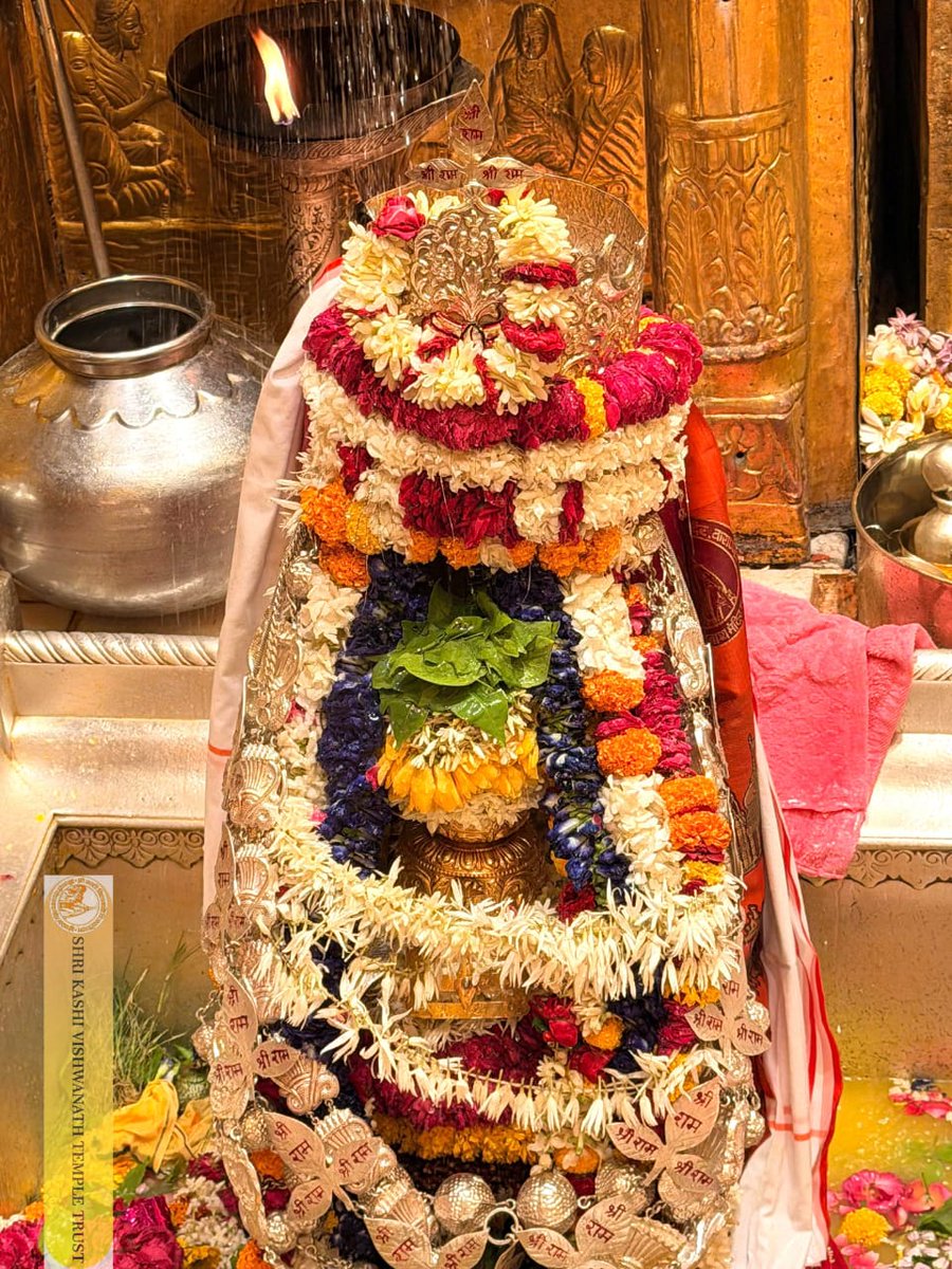 ShriVishwanath's tweet image. श्री काशी विश्वनाथ जी की सप्तऋषि आरती I
#kashivishwanath #kashi #hindu #sanatandharm