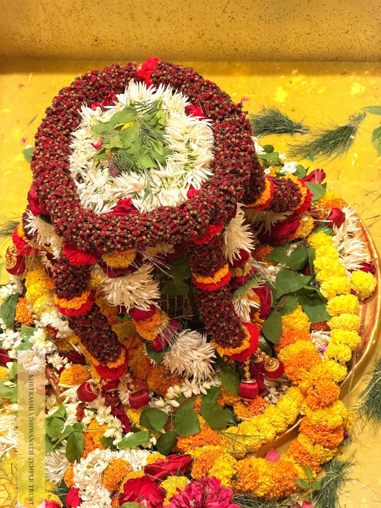 ShriVishwanath's tweet image. श्री काशी विश्वनाथ जी की सप्तऋषि आरती I
#kashivishwanath #kashi #hindu #sanatandharm