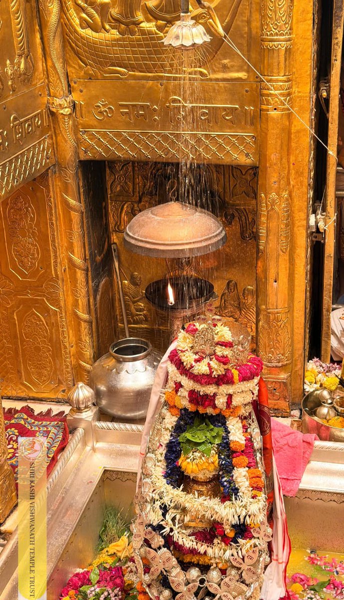 ShriVishwanath's tweet image. श्री काशी विश्वनाथ जी की सप्तऋषि आरती I
#kashivishwanath #kashi #hindu #sanatandharm