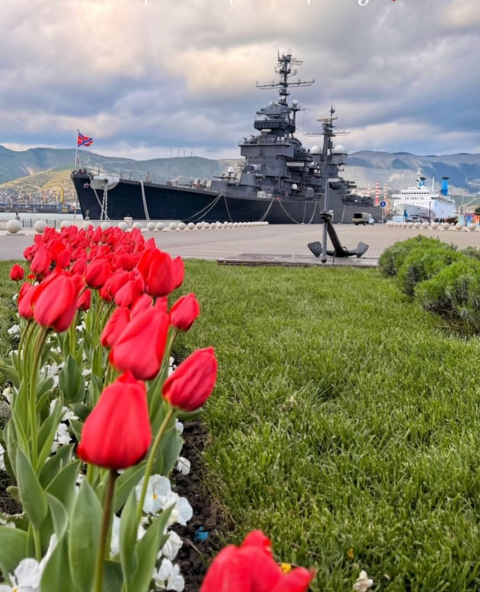 Marusia novoposs tweet media