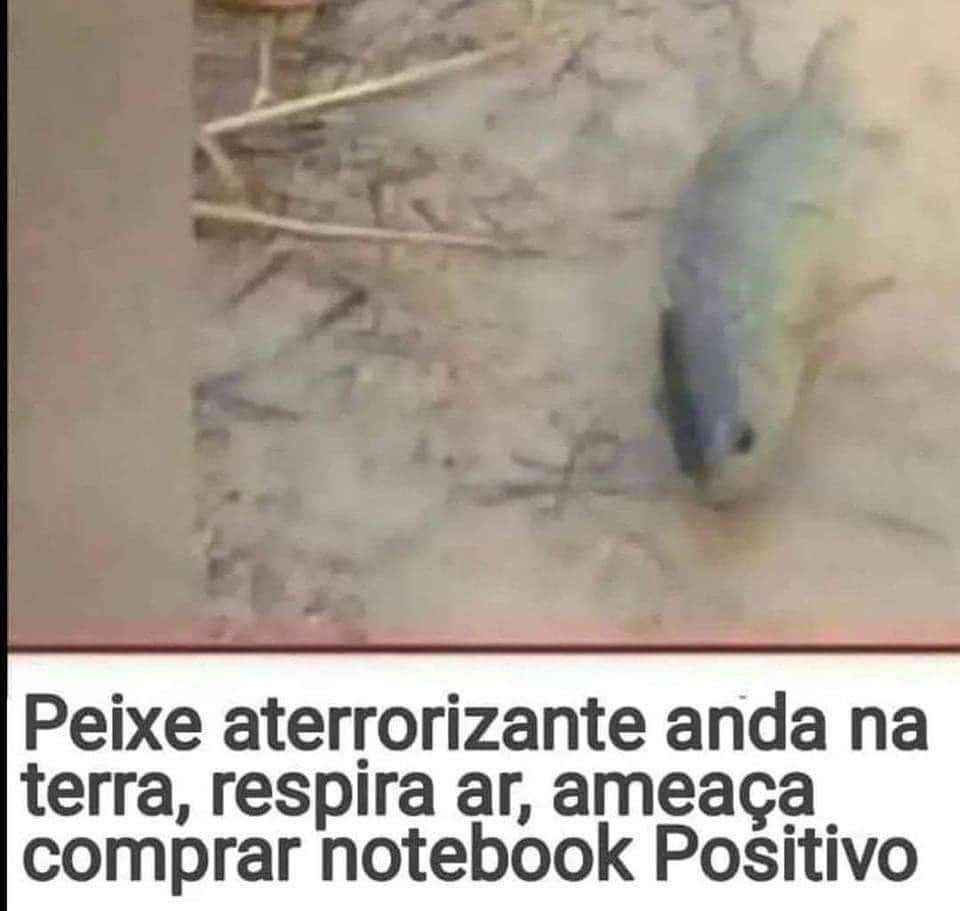 Shitpost só que de verdade tweet media