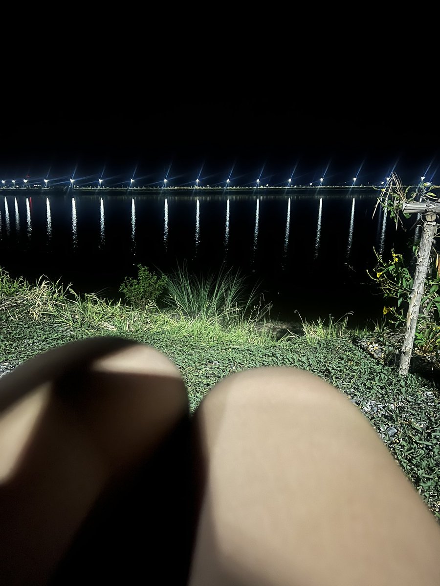 🍅โทมาโท้🍅✨ tweet media