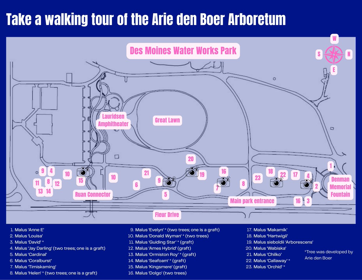 DSMH2O's tweet photo. They’re still hanging on! Enjoy the sunshine and crabapples at the Arie den Boer Arboretum.

About 30 percent of trees still have their blooms or are yet to open.

You can use this map or take a brochure from one of the stands for a walking tour of the arboretum. https://t.co/bIguMX1Fss