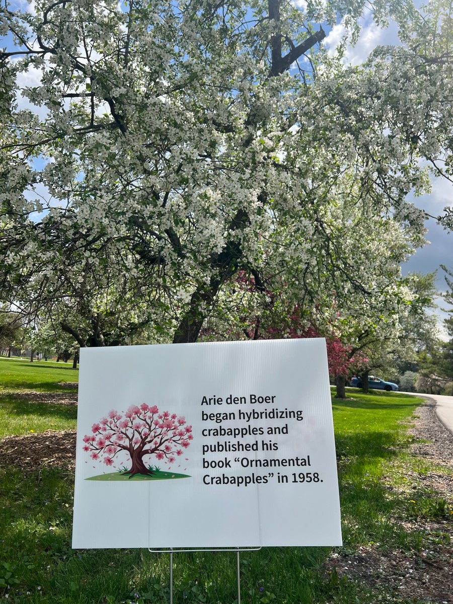 DSMH2O's tweet photo. They’re still hanging on! Enjoy the sunshine and crabapples at the Arie den Boer Arboretum.

About 30 percent of trees still have their blooms or are yet to open.

You can use this map or take a brochure from one of the stands for a walking tour of the arboretum. https://t.co/bIguMX1Fss