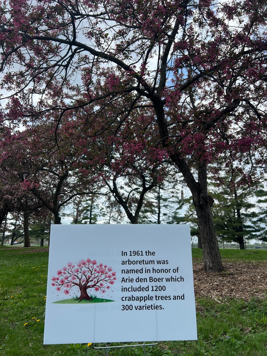 DSMH2O's tweet photo. They’re still hanging on! Enjoy the sunshine and crabapples at the Arie den Boer Arboretum.

About 30 percent of trees still have their blooms or are yet to open.

You can use this map or take a brochure from one of the stands for a walking tour of the arboretum. https://t.co/bIguMX1Fss