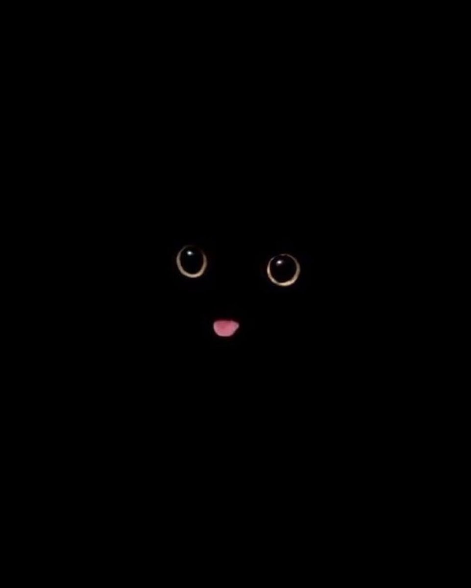 changkyunnyang's tweet photo. changkyun black cat 🐈‍⬛ https://t.co/rlE5g9iTZK