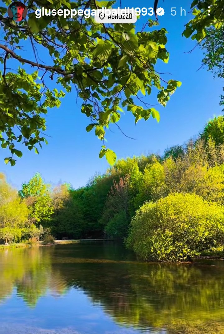 Maria Pia Dal zovo tweet media